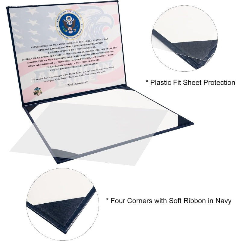 Gold Foil Naturalization Display