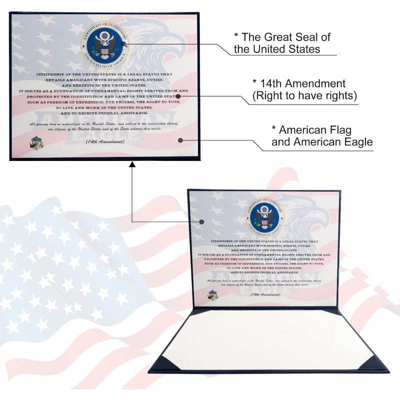 Gold Foil Naturalization Display