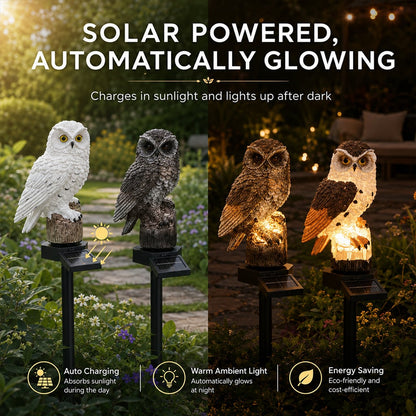🔥Big Sale - 50% OFF🔥Waterproof Solar Owl Light
