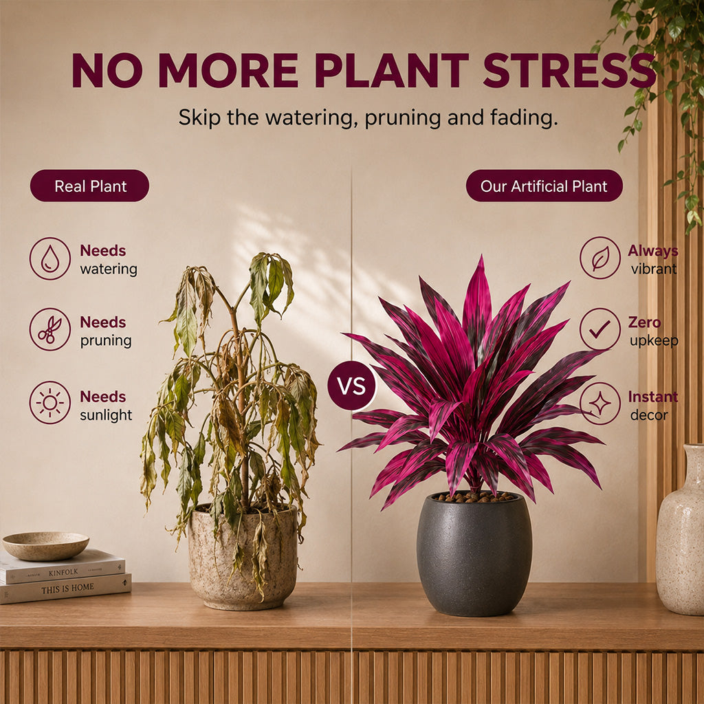 ✨Artificial Boston Fern & Dragon's Blood Tree Plants
