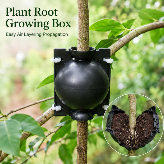 🌿Plant air-layering propagation box