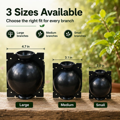 🌿Plant air-layering propagation box