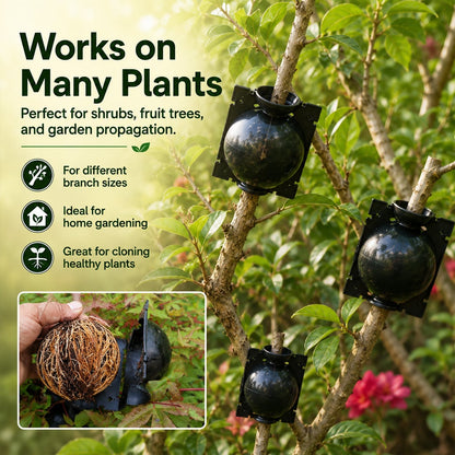 🌿Plant air-layering propagation box