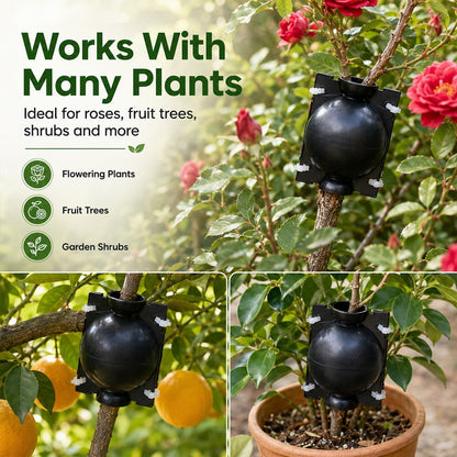🌿Plant air-layering propagation box