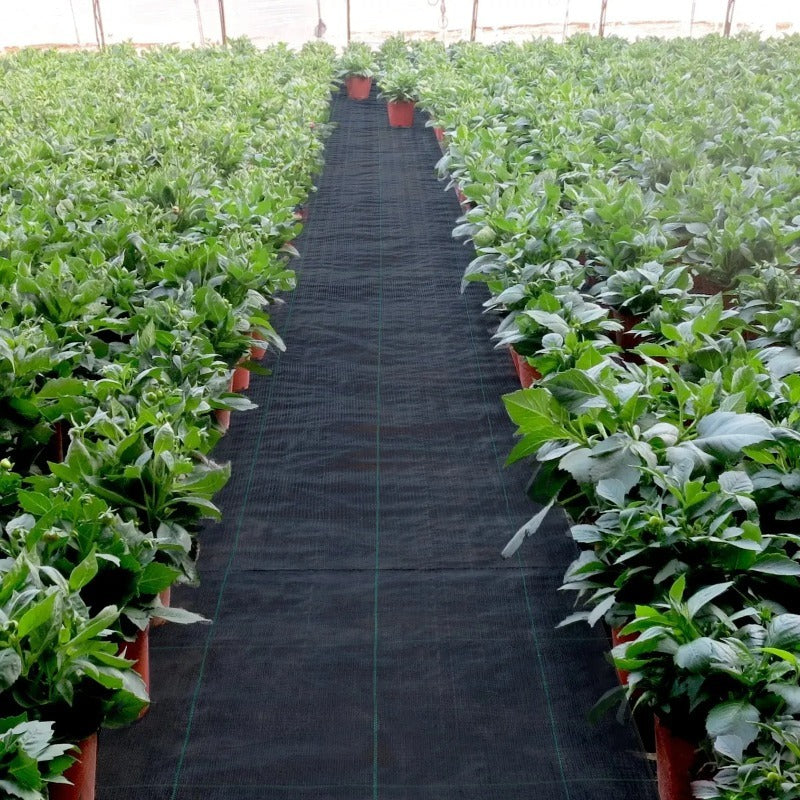 Tear Resistant Ground Cover