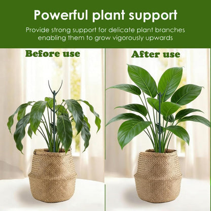 Stackable Plant Growth Support